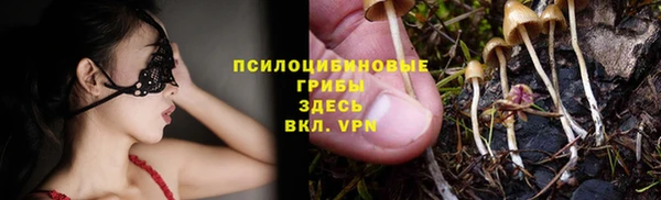 стаф Куйбышев