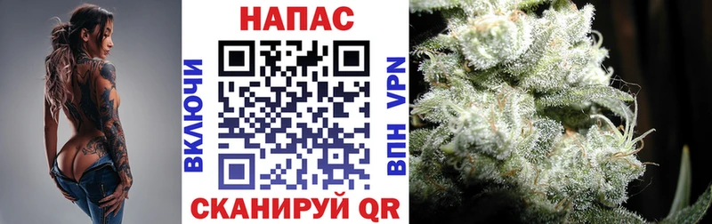 Купить где  Дзержинск  Бошки марихуана семена 